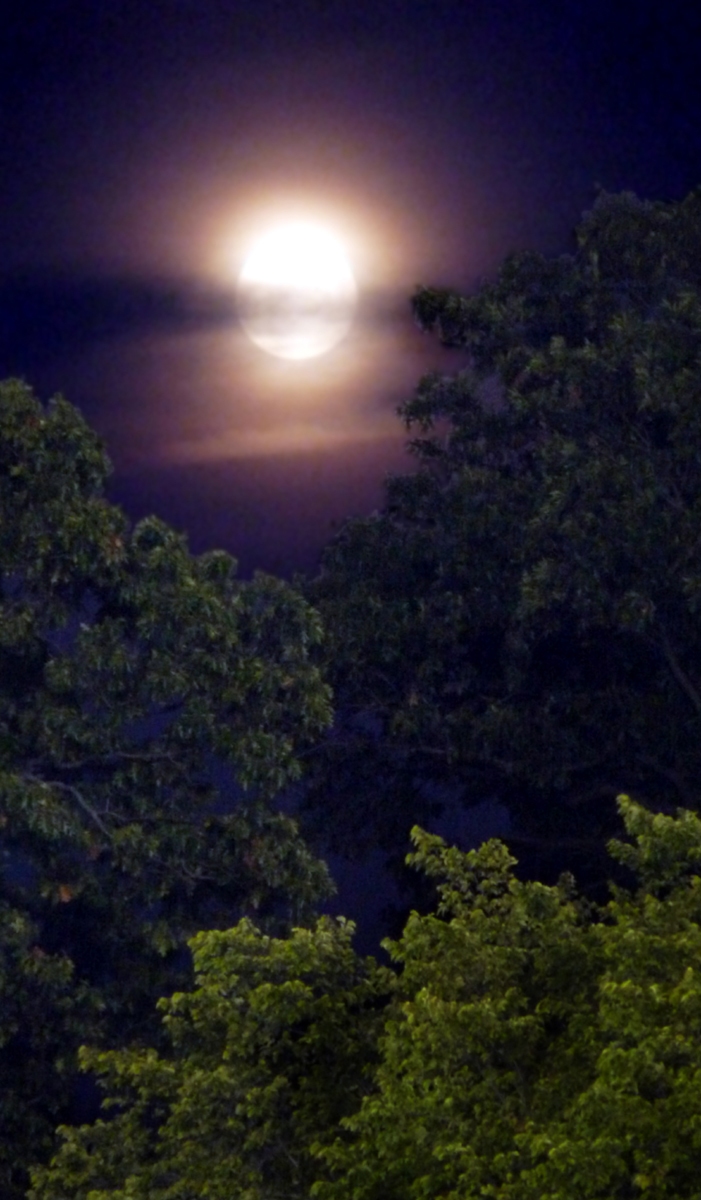 08-31-12.lakewood.moon.lo.jpg