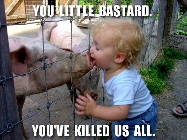 stop the swine  flu.jpg