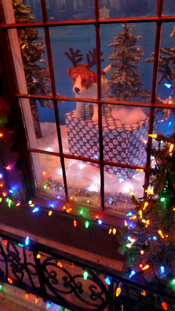 Furry Nation.  "... How much is that doggie in the window (arf, arf) The one with the waggley tail. How much is that doggie in the window (arf, arf) I do hope that doggie's for sale!"