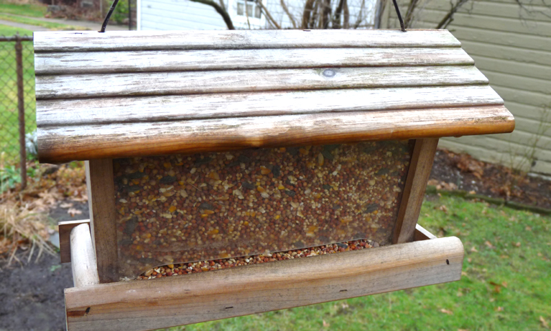 bird feeder-lo.jpg