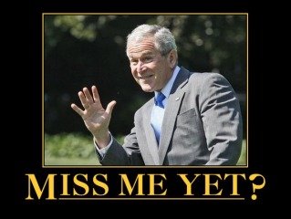 bush.jpg