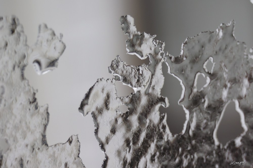 ICE Craig Lovejoy Low Level Aerial Photography