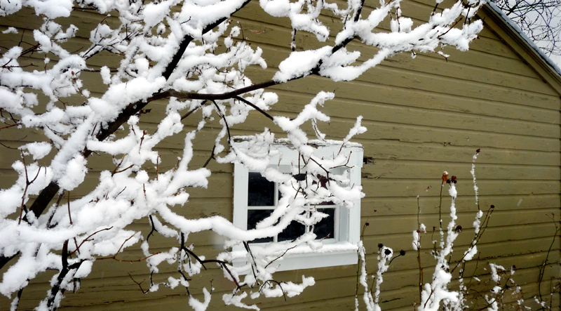 03-25snow-lo.jpg