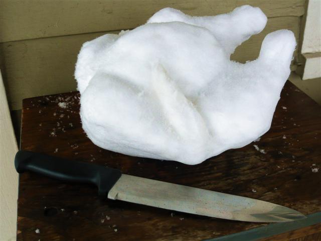 snow bird (Small).jpg