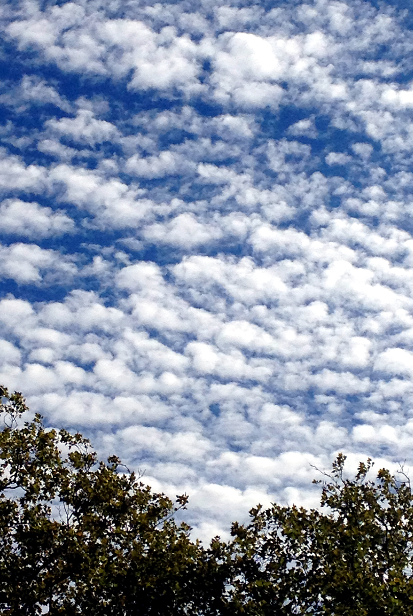 09-15-13 clouds.jpg
