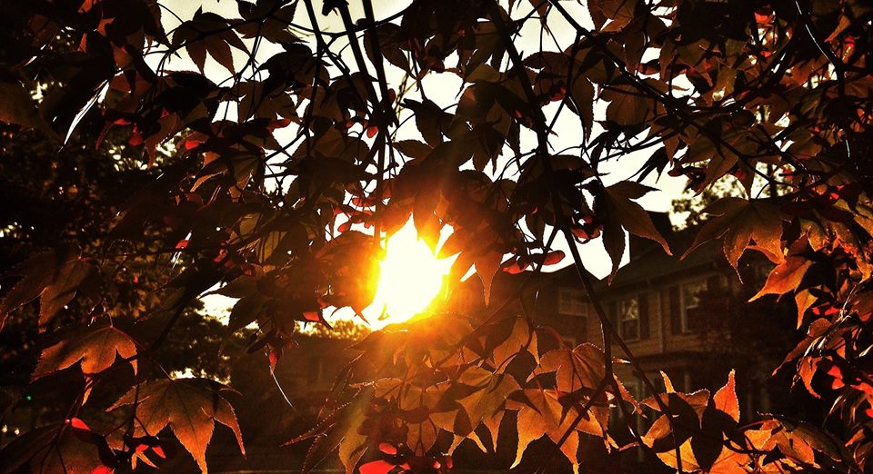 good morning october.jpg