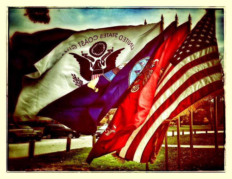 vets day flags.jpg