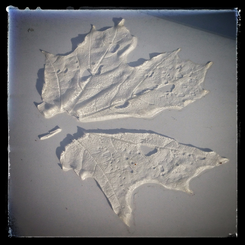 leaf ice sculpture.jpg