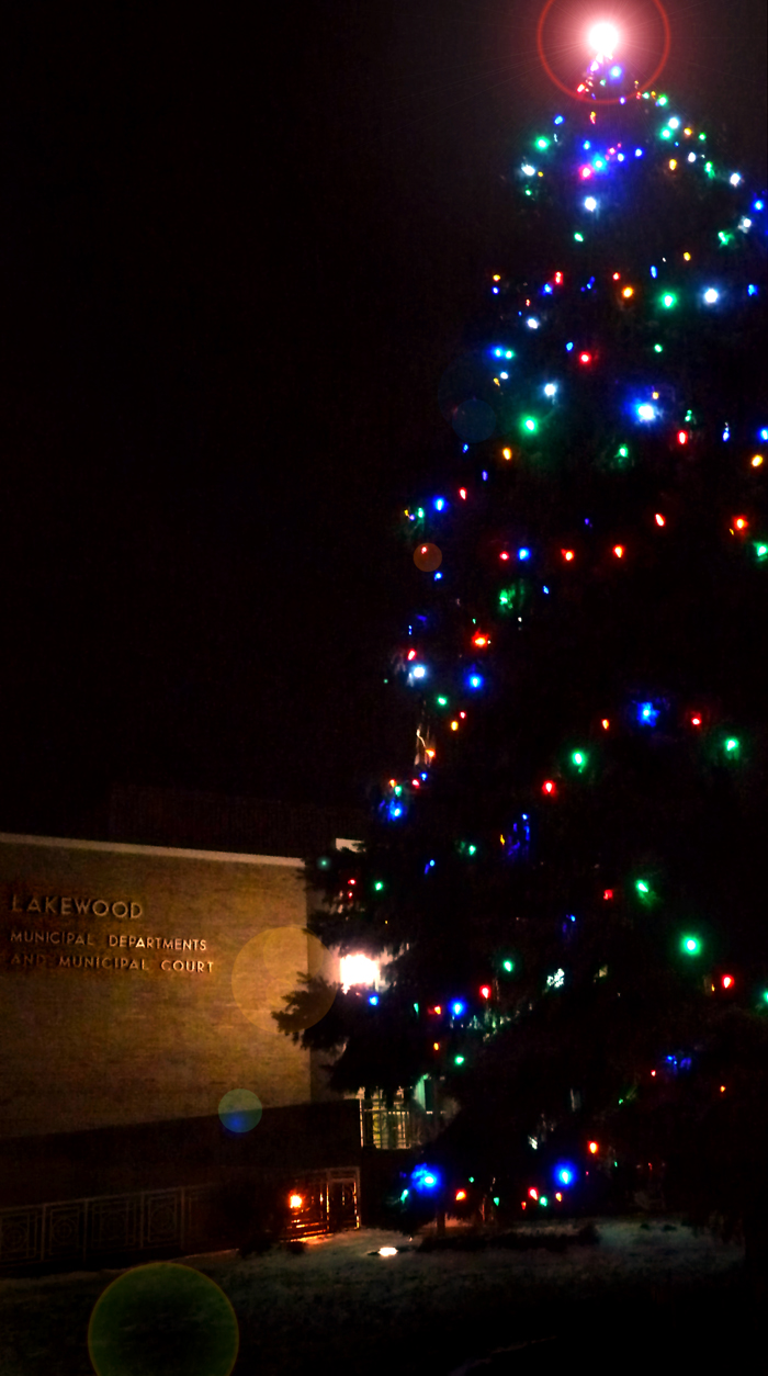officialcityhallholidaytree.jpg