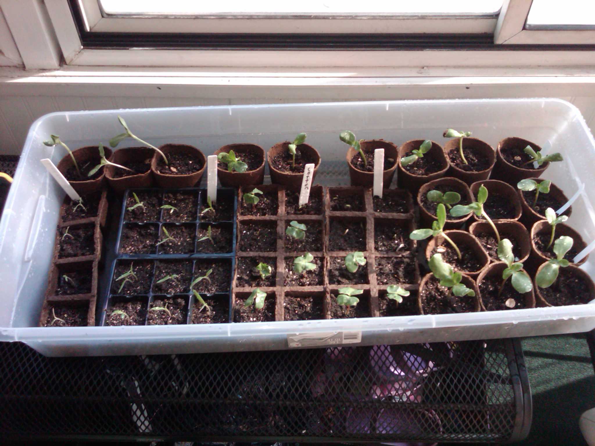 off to a good start!