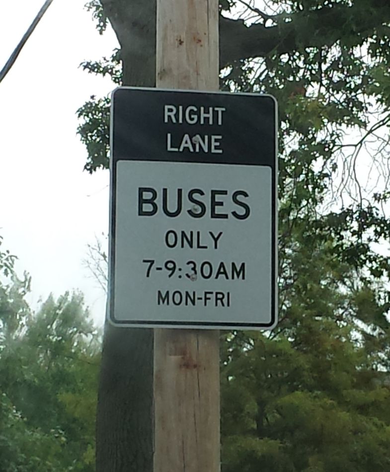 bus lane only.jpg