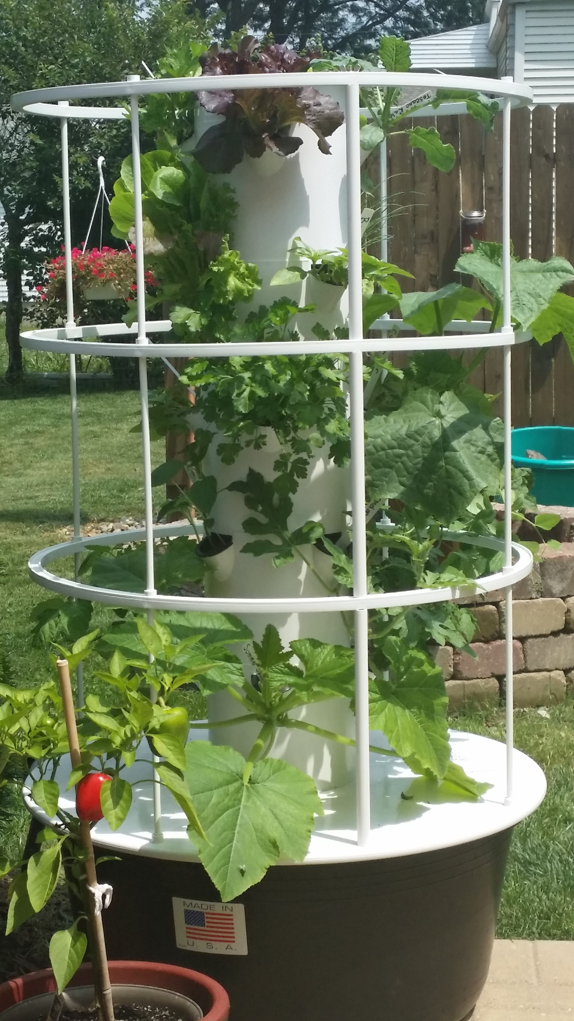 20140803_134350_Central Blvd.jpg