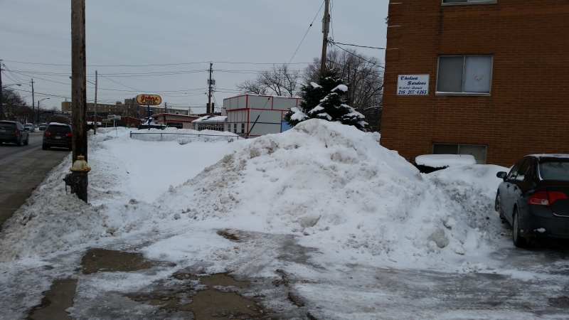 chelsea garden front2.jpg