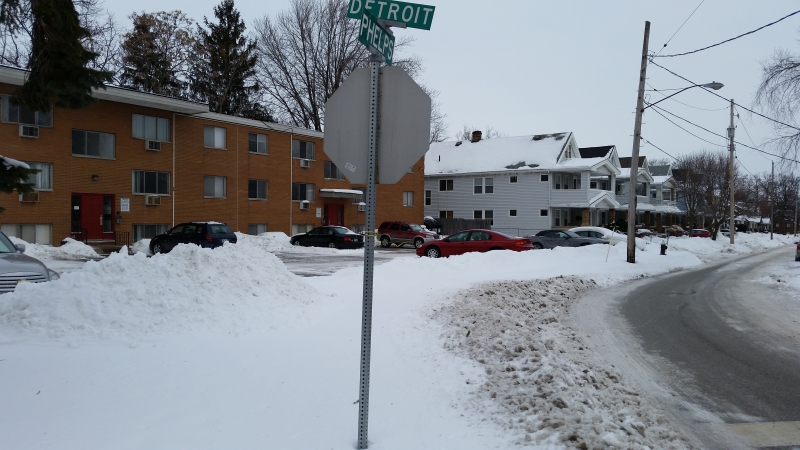 chelsea garden side.jpg