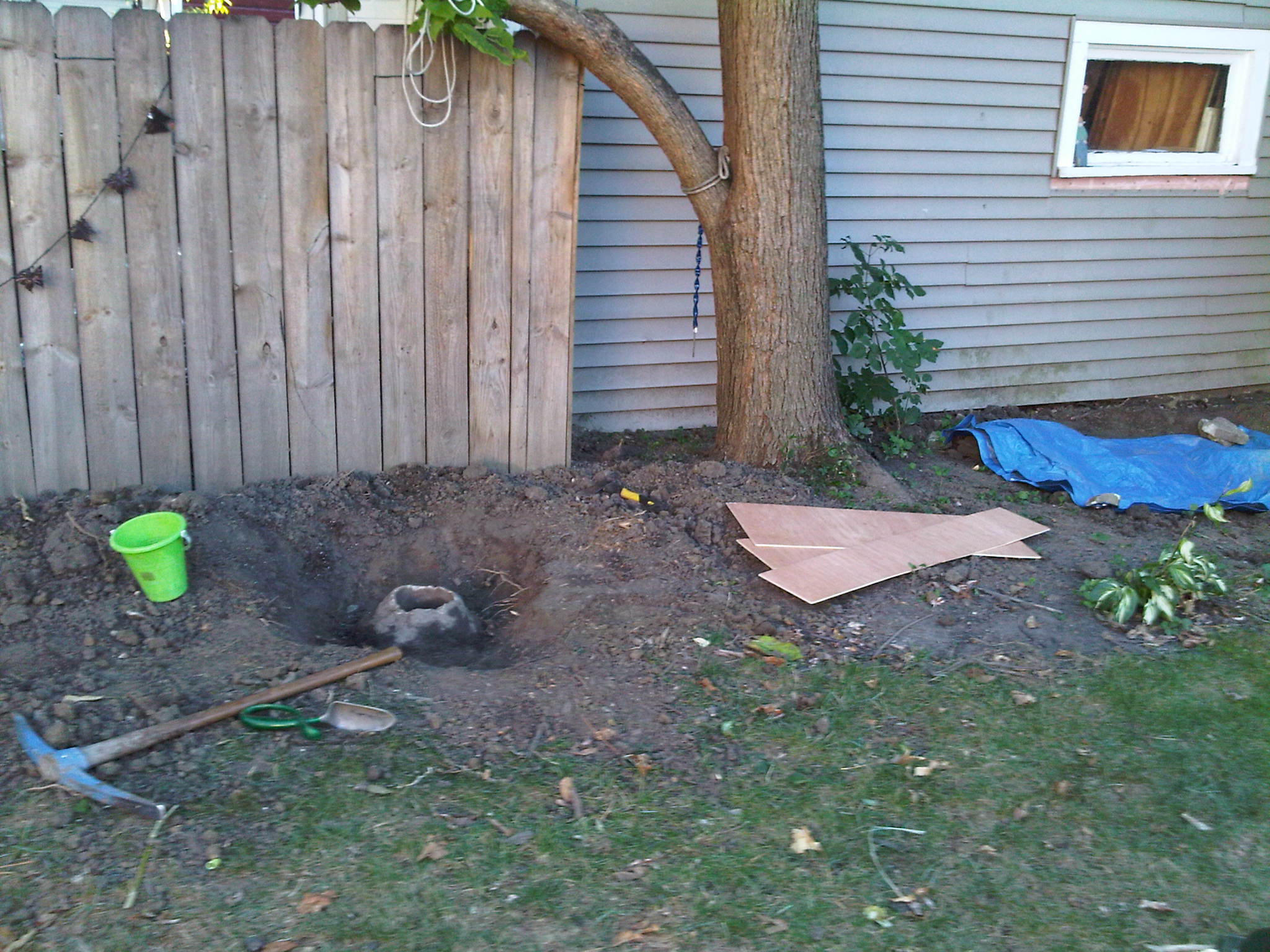 IMG00021-20100920-1828.jpg