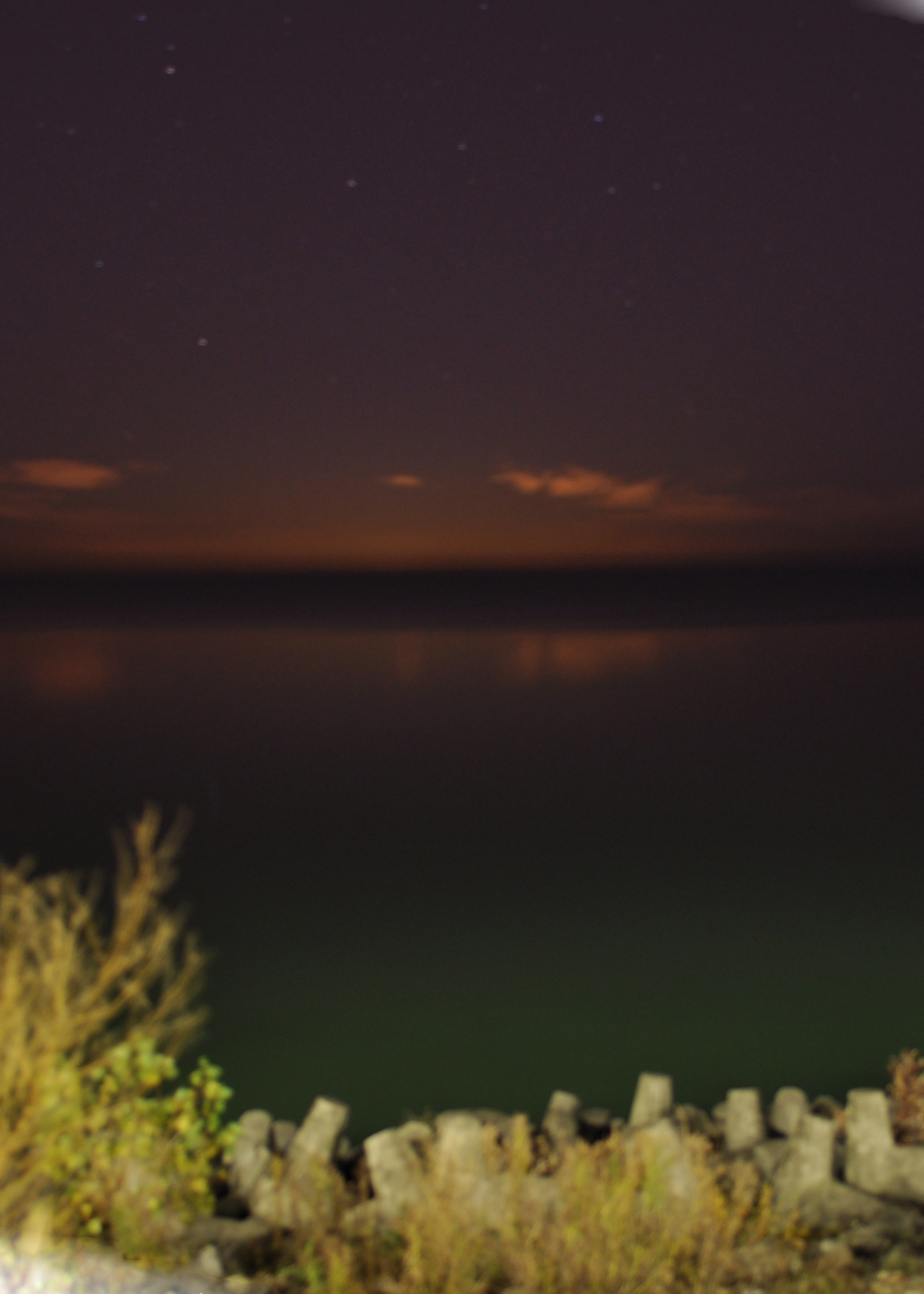 DSC_9575 rotated and cropped.jpg