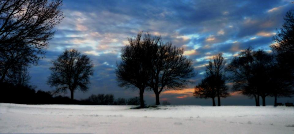 clousd - lkwd park.jpg