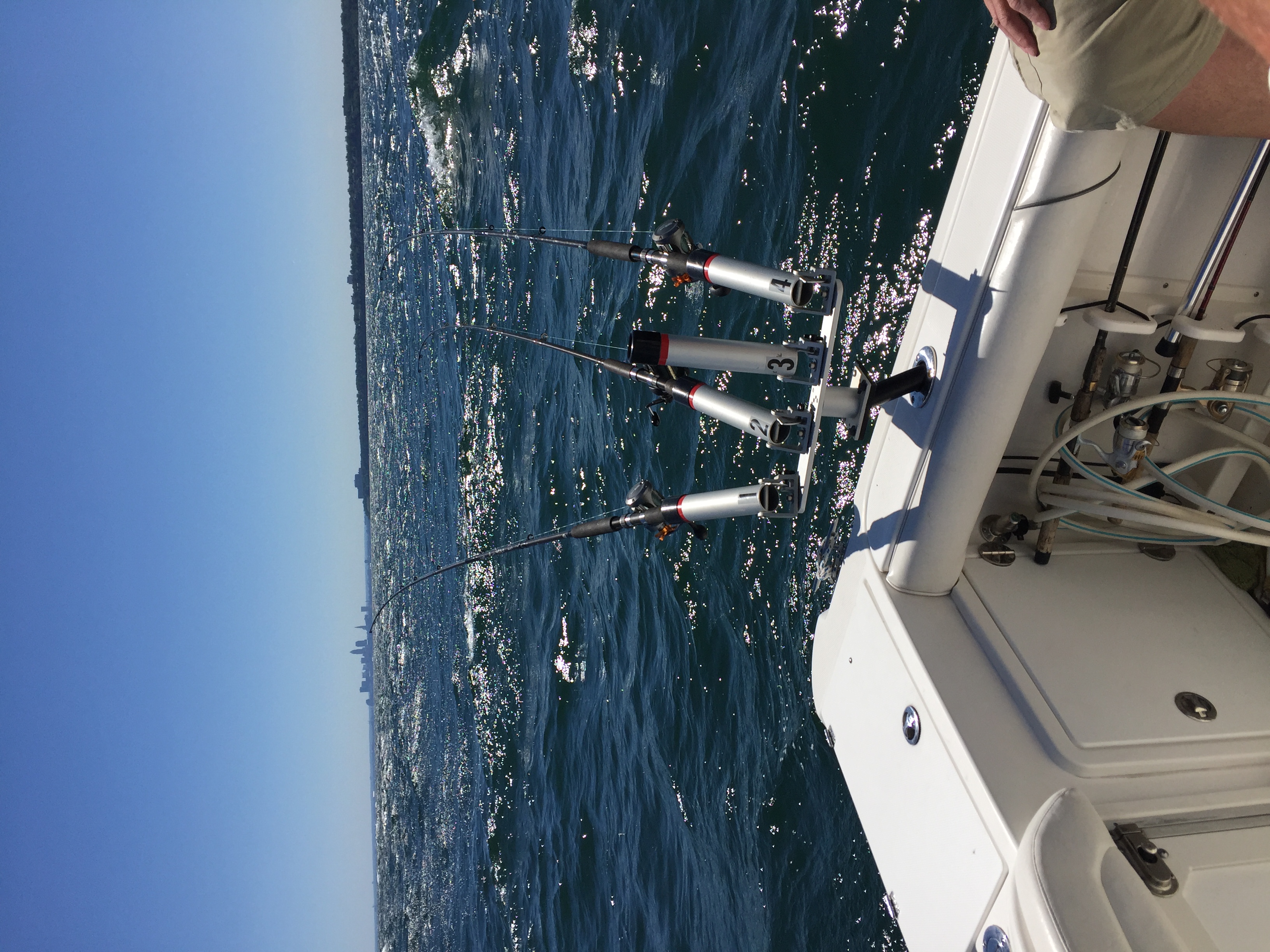 Trolling rods catch trolls