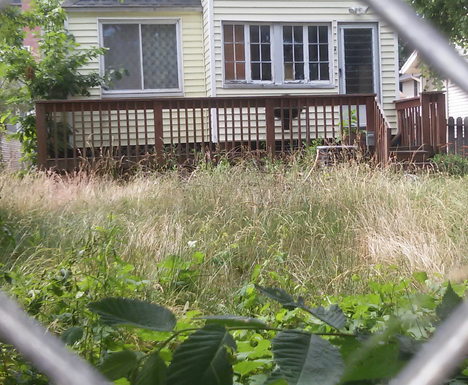 17620 cannon eog 6094-1.jpg