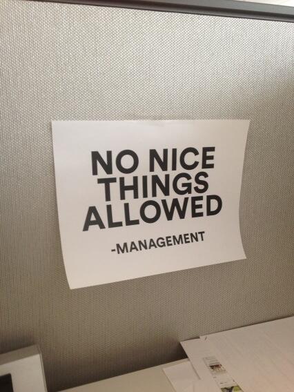 nice things.jpeg