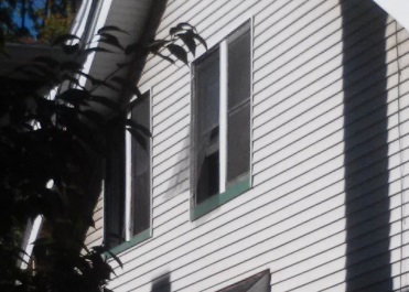 1240 42 Marlowe side window.jpg