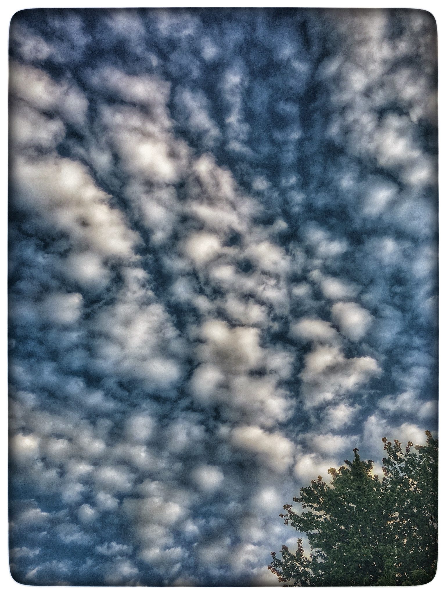 Snapseed.jpg