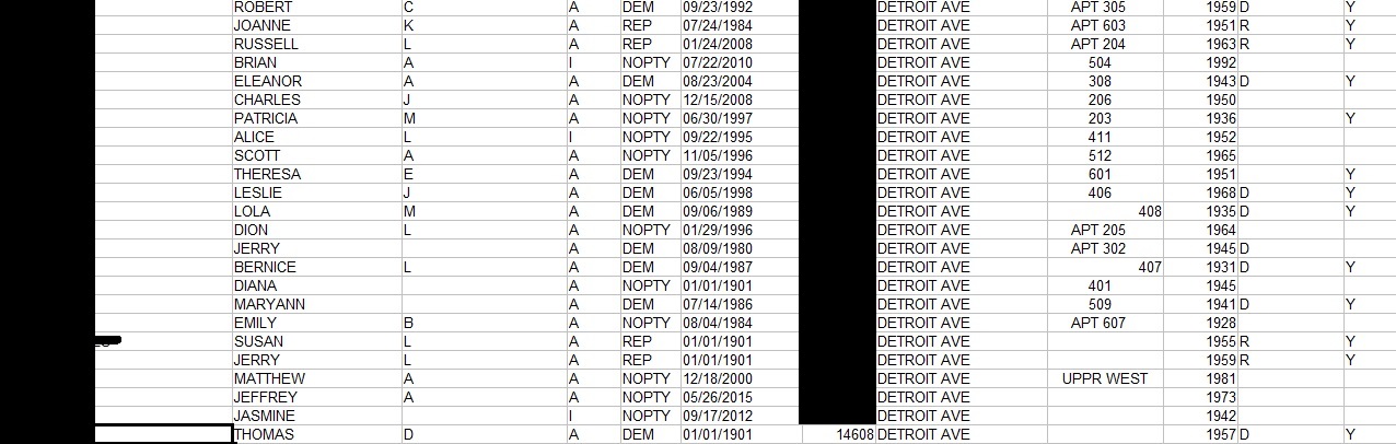 14608 Detroit vote.jpg