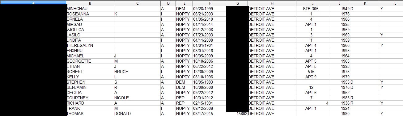 15802 Detroit vote.jpg