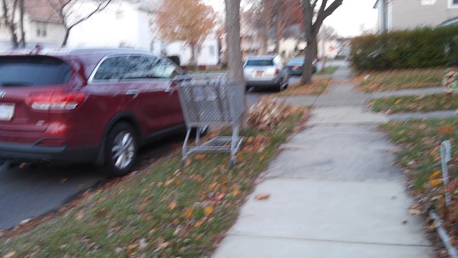 14503 Garfield cart.jpg