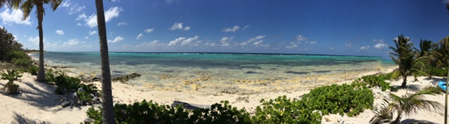 IMG_1564.JPG