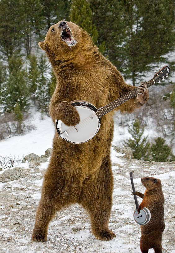 banjo_bear.jpg