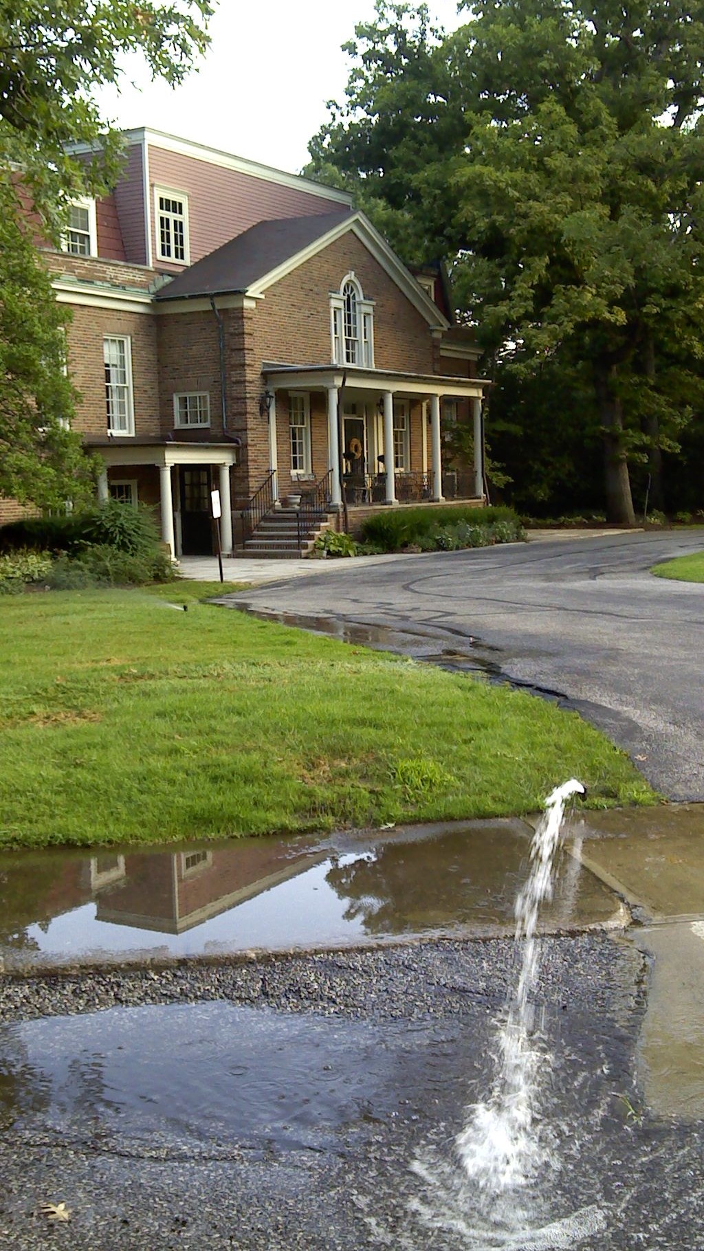 Clifton Club Water Snake.jpg