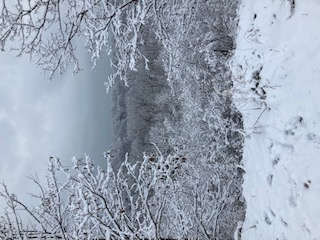 Winter on Stinchcomb.jpg