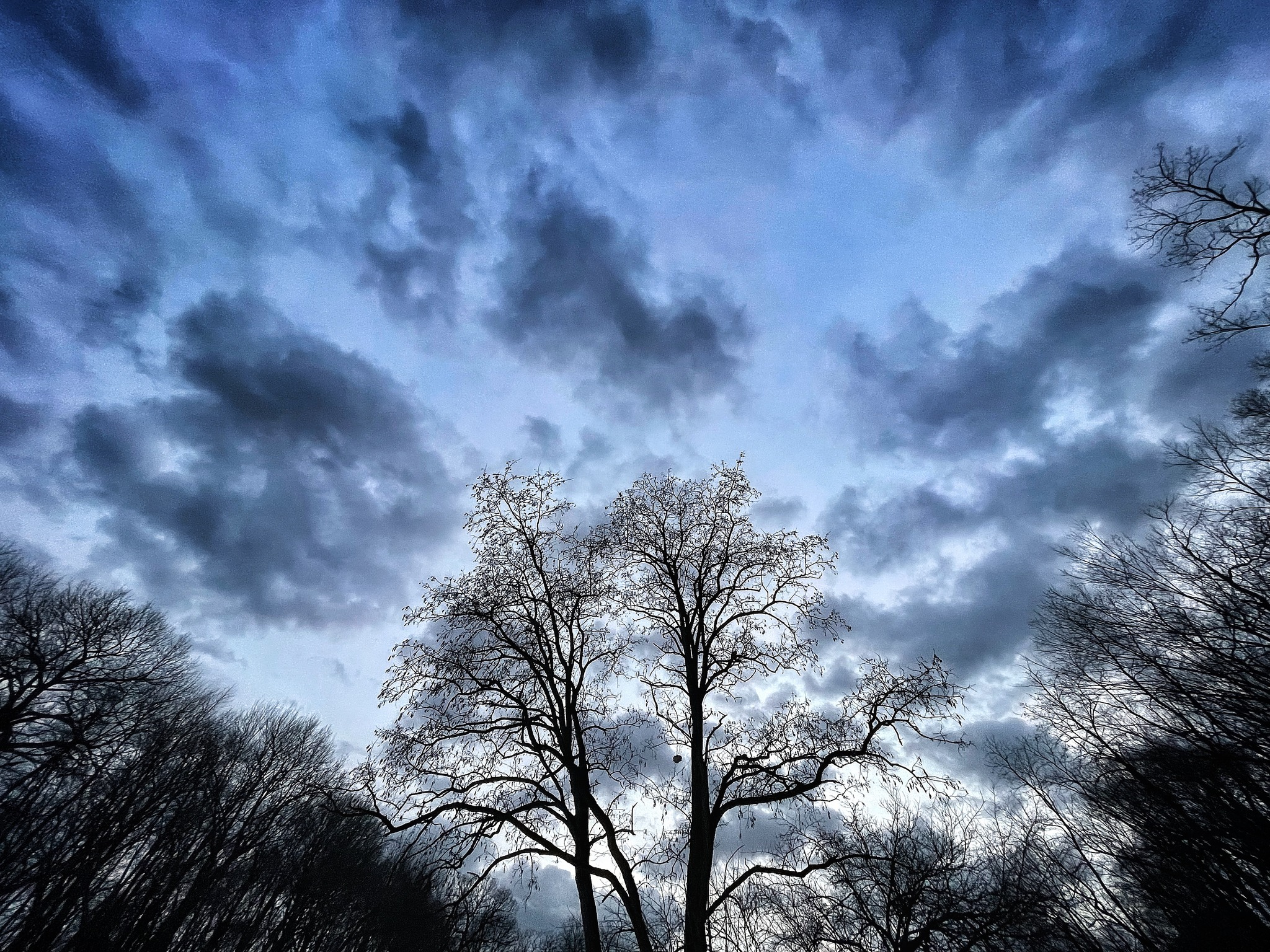 022222.jpg